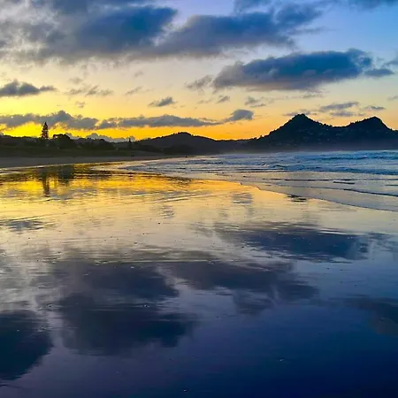 Pauanui Orchard Farmstay - Pet Friendly!-3