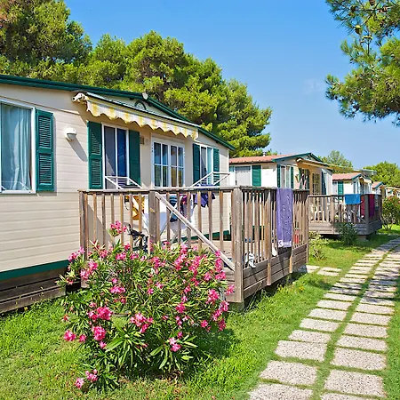 Arena Stupice Camping Homes-3