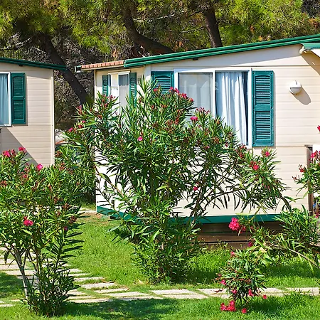 Arena Stupice Camping Homes-2