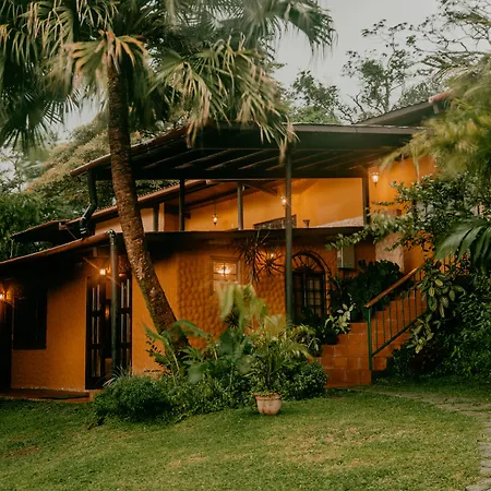 The Golden Frog Inn-2