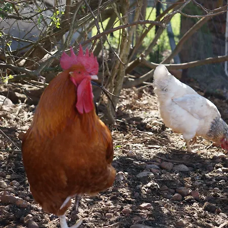 Kwetu Guest Farm-3