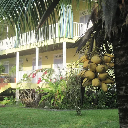 Sand Dollar Beach Bed&Breakfast-2