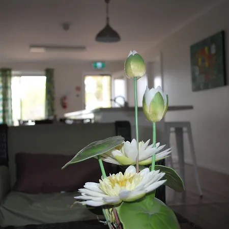 Padthaway Caravan Park-3