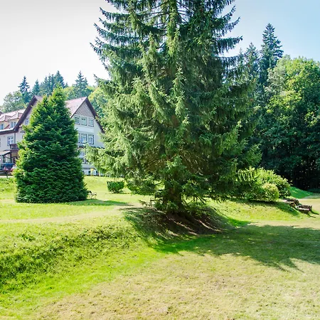 Waldhotel Friedrichroda-3