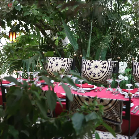 Riad Ifoulki-2