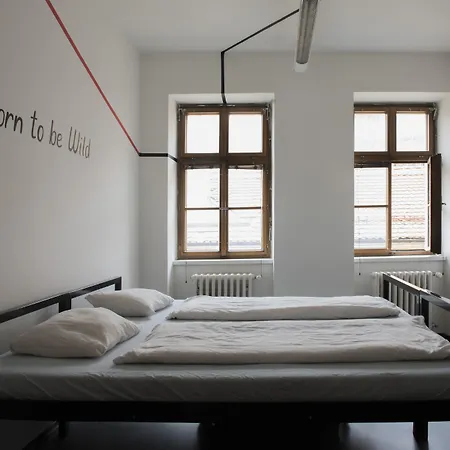 Hostel Eleven-3