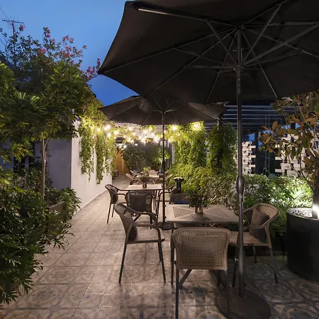 Casa Decu-2