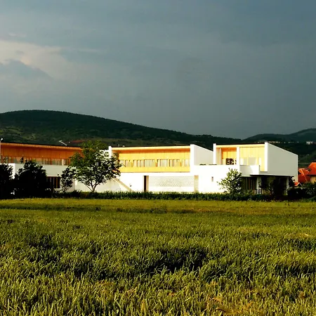 Hotel Gracanica-2