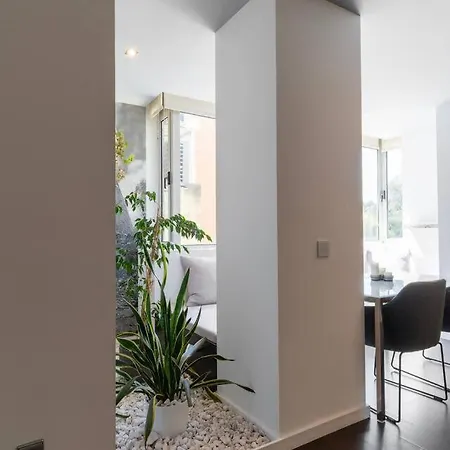 Spacious 2Br En Suite, Downtown Porto-3