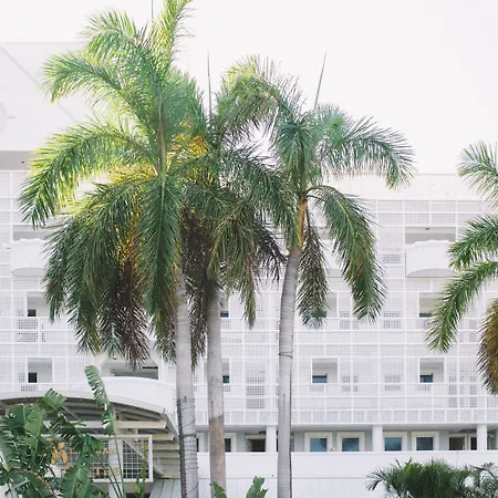 Palm Heights-2