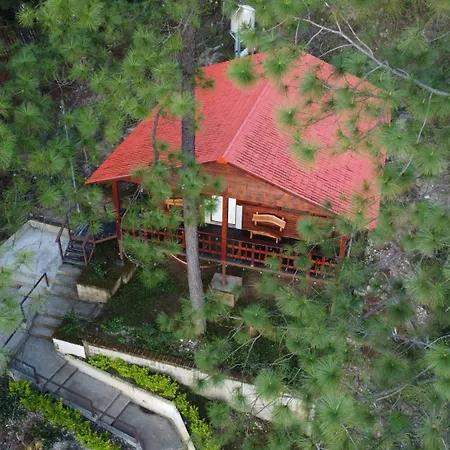 Villa Verde-3