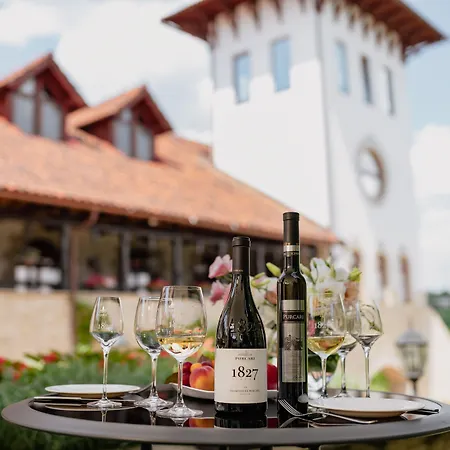Chateau Purcari-3