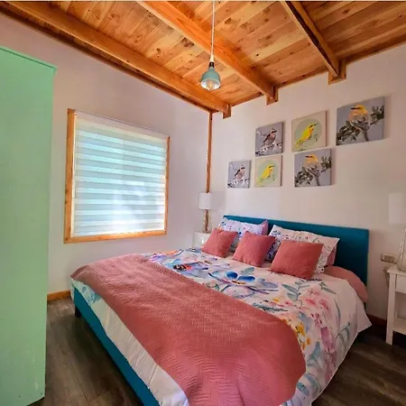 Tiny House-3