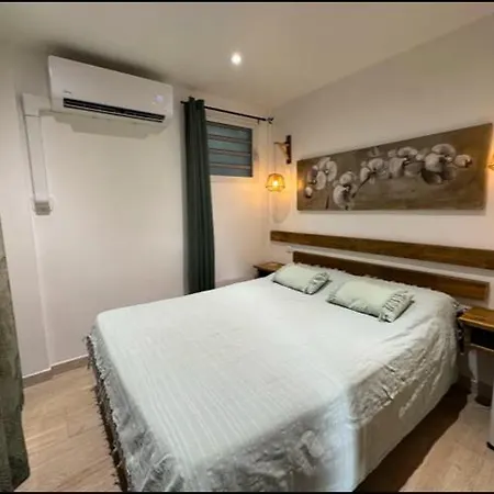 Aloes, T2 Residence Le Loys A Ste Anne-3