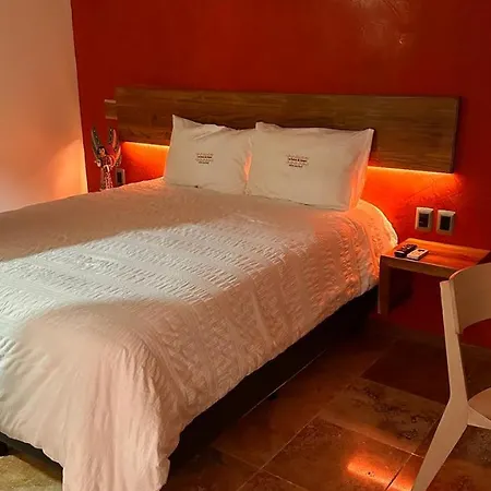 Las Raices De Oaxaca Hotel Boutique-3