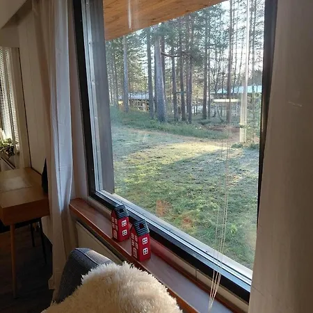Viihtyisae Huoneisto Ivalossa-2