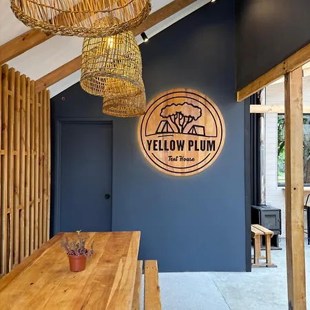 Camping Yellow Plum-2