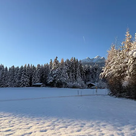 Waldchalet am Eichhof-3