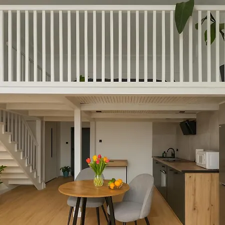 Nowoczesny Loft Przy Starowce Danilowiczowska 18-3