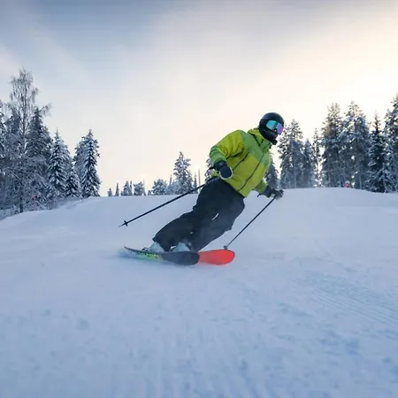 Lapland Hotels Pallas-2