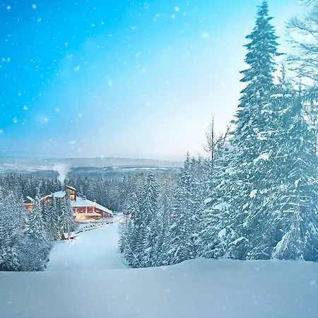 Hotel Yastrebets Wellness&Spa-3