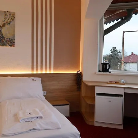Hotel Amadeus-3