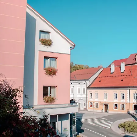 Hotel Bela Krajina-2