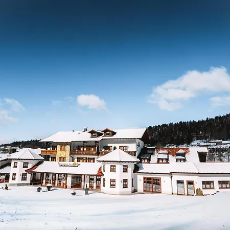 Wellness- und Wohlfühlhotel Waldeck-3