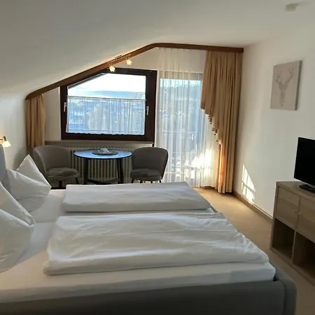Hotel Panorama-2