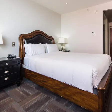 Wyndham Garden Antofagasta Pettra-2
