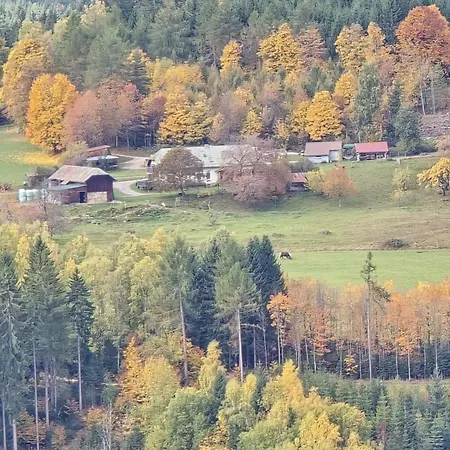 Landhof Steinhütte-3