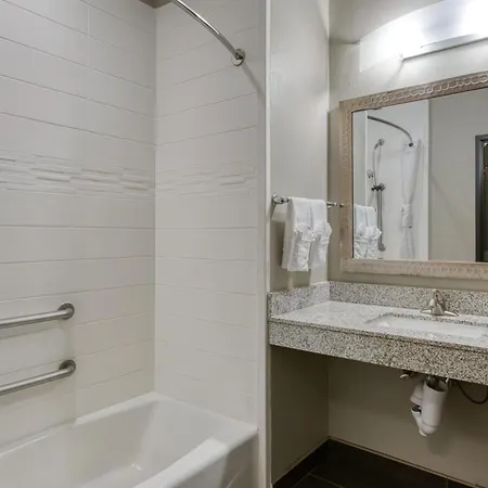 Best Western Plus Tech Medical Center Inn-2