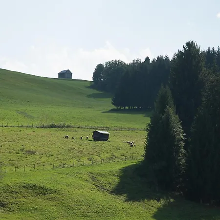 Gaisbock der Ferienhof-2