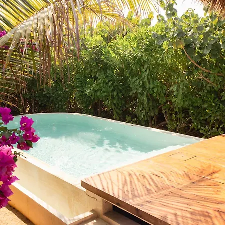 Aldea Mizul - Beach Front - Adults Only-3