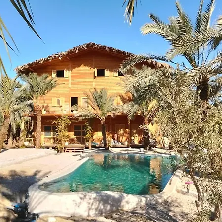 Paloma Camp-2