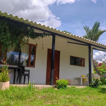 La Casita De Elvia-2