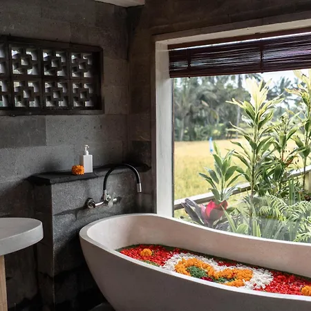 Susi Villas Ubud-2