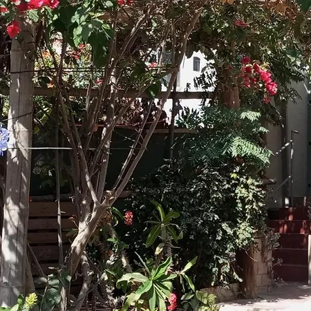 Departamento Con Cochera Gratuita Dentro De Instalaciones 8P Tierra Del Sol Eterno Ica Centro-3