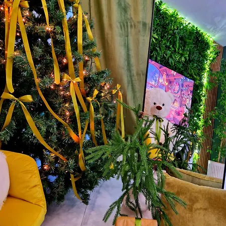 Penthouse Aeroport Iasi-2