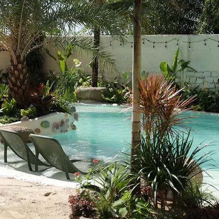 Chon'S Dock Homestay & Apartment - Free Outdoor Pool-3