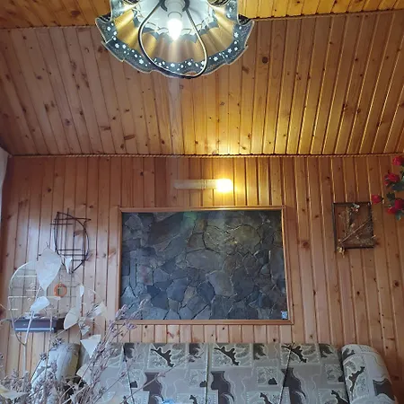 Лаванда-2