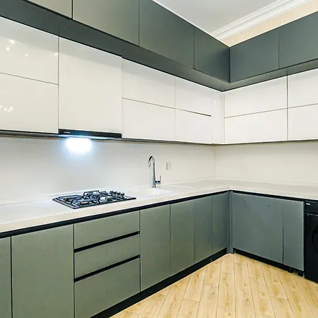 Radison Luxury Apartment Baku-3