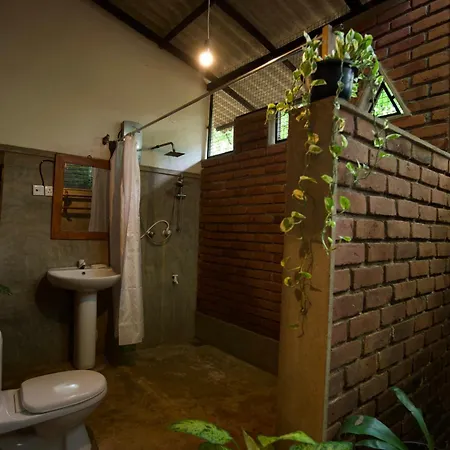 Vihanga Village - Jungle retreat in Dambulla-2