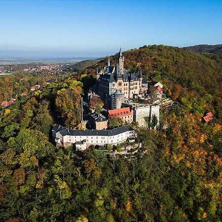 Ferienhaus Nr 23, Typ A, Ferienanlage Blauvogel, Hasselfelde, Harz-2