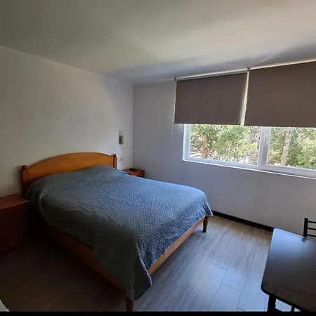 Depto Estudio Ubicado En Condominio Pucon Andino-3