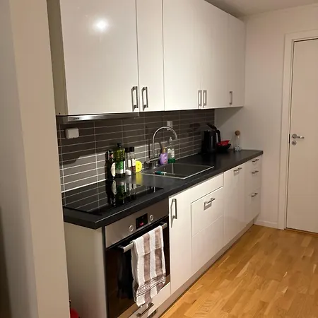 Moderne Og Privat Leilighet I Tromso- Gratis Parkering!-3