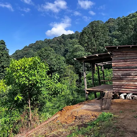 Migogo Gorilla Lodge-3