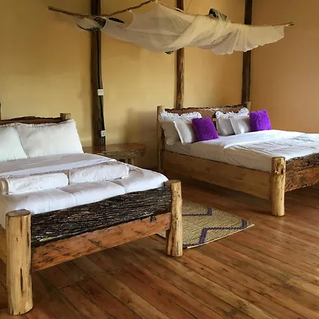 Migogo Gorilla Lodge-2