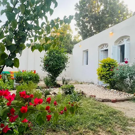 Nile Flower Guesthouse-3