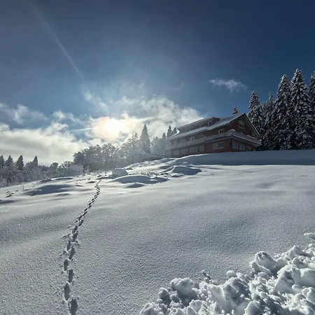 Berggasthaus Auerhahn - Ski In- Ski Out--3